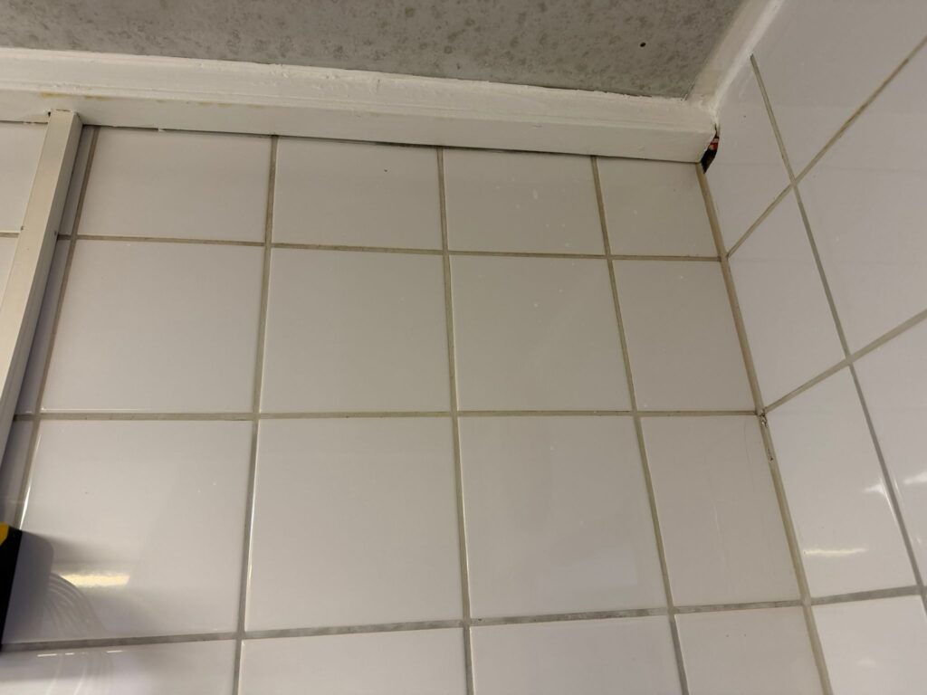 Schimmel entfernen 13 Hygienische Schimmelentfernung: Porenbetief gereinigte Fliesenfugen nach der Laserbehandlung ohne Chemie