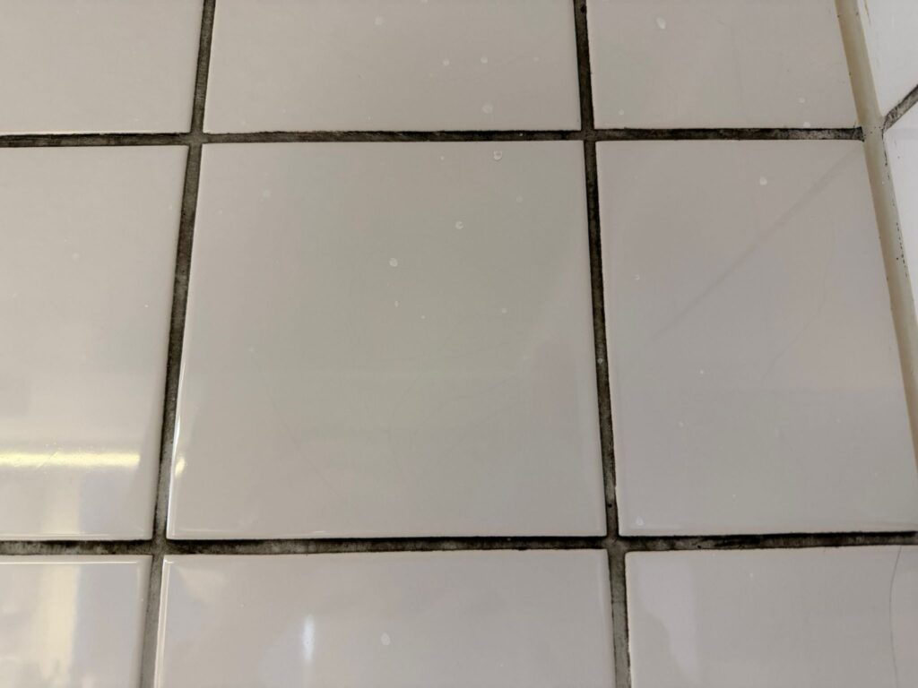 Schimmel entfernen 14 Starker Schimmelbefall in Fliesenfugen vor der Sanierung – tiefsitzende Sporen und Verunreinigungen