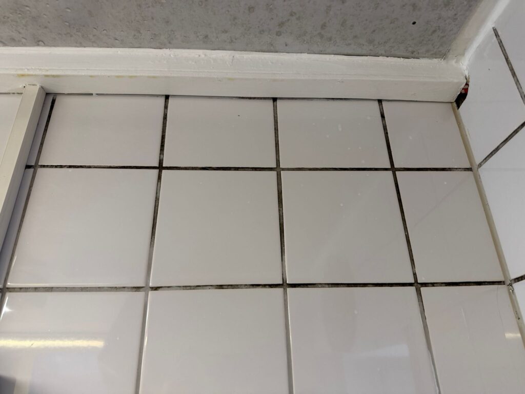 Schimmel entfernen 12 Starker Schimmelbefall in Fliesenfugen vor der Sanierung – tiefsitzende Sporen und Verunreinigungen